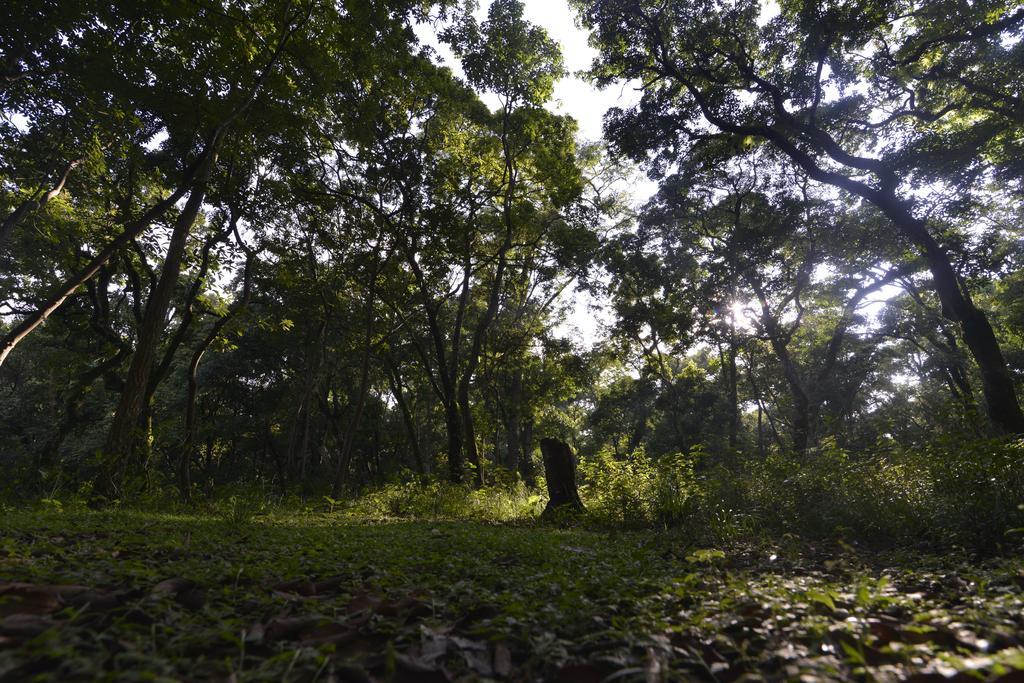 Gokarna Forest Resort Катманду Экстерьер фото
