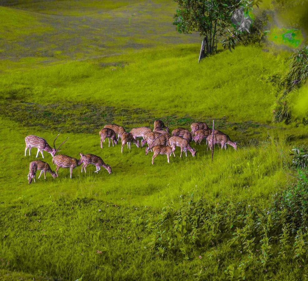 Gokarna Forest Resort Катманду Экстерьер фото